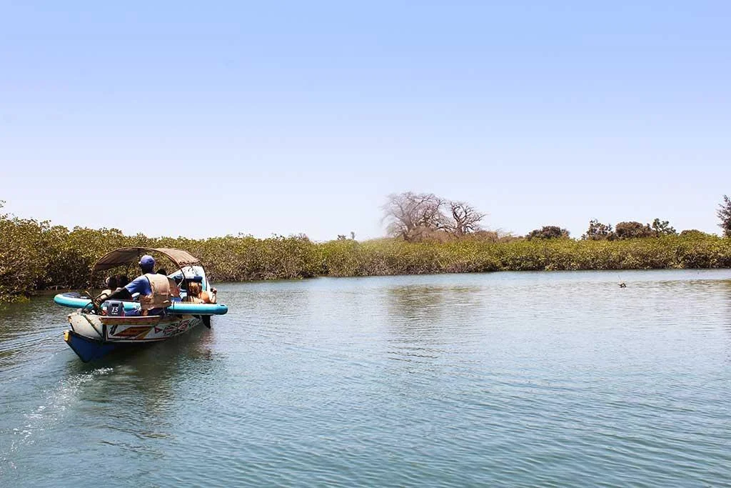 Pirogue s&eacute;n&eacute;galaise sur le fleuve Saloum